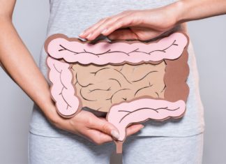 Importancia del Butirato sobre la Microbiota Intestinal y la Salud Butirato
