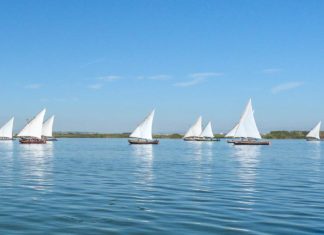 Parque Natural de la Albufera Portada-Vela-Latina