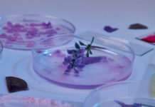 CYMENOL, beneficios en salud bucodental