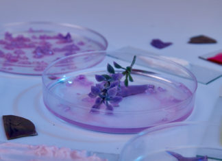 CYMENOL, beneficios en salud bucodental