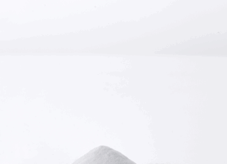 ERITRITOL: EL GRAN DESCONOCIDO