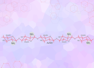 Chitosan, un polímero biológicamente activo en cirugía oral y odontológica