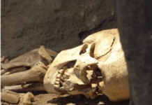 Una tarde en el museo