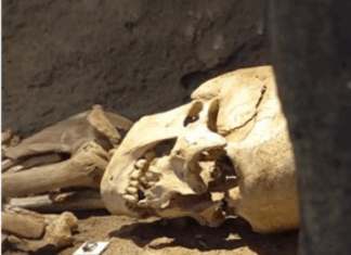 Una tarde en el museo